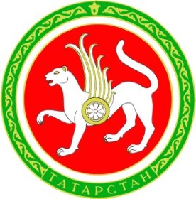 Татарстан герб - перегородки